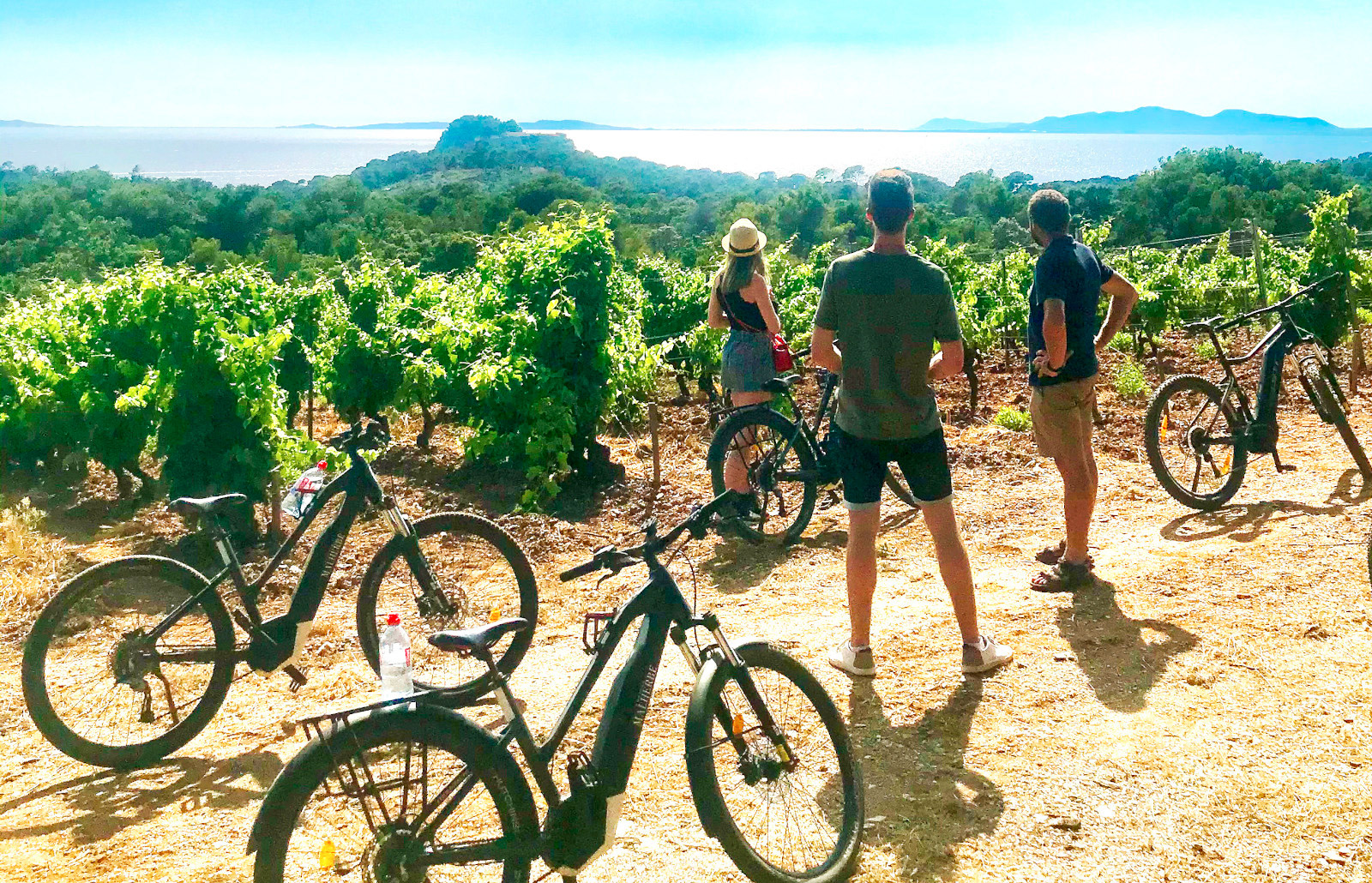 Vélo dans les vignes - Le Var, La Semaine Nature